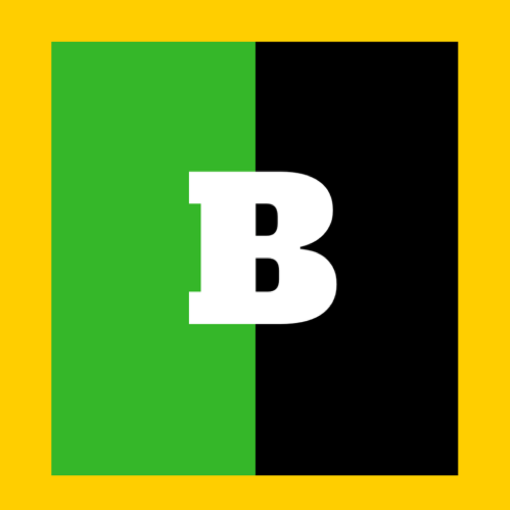 BASHY Logo.png